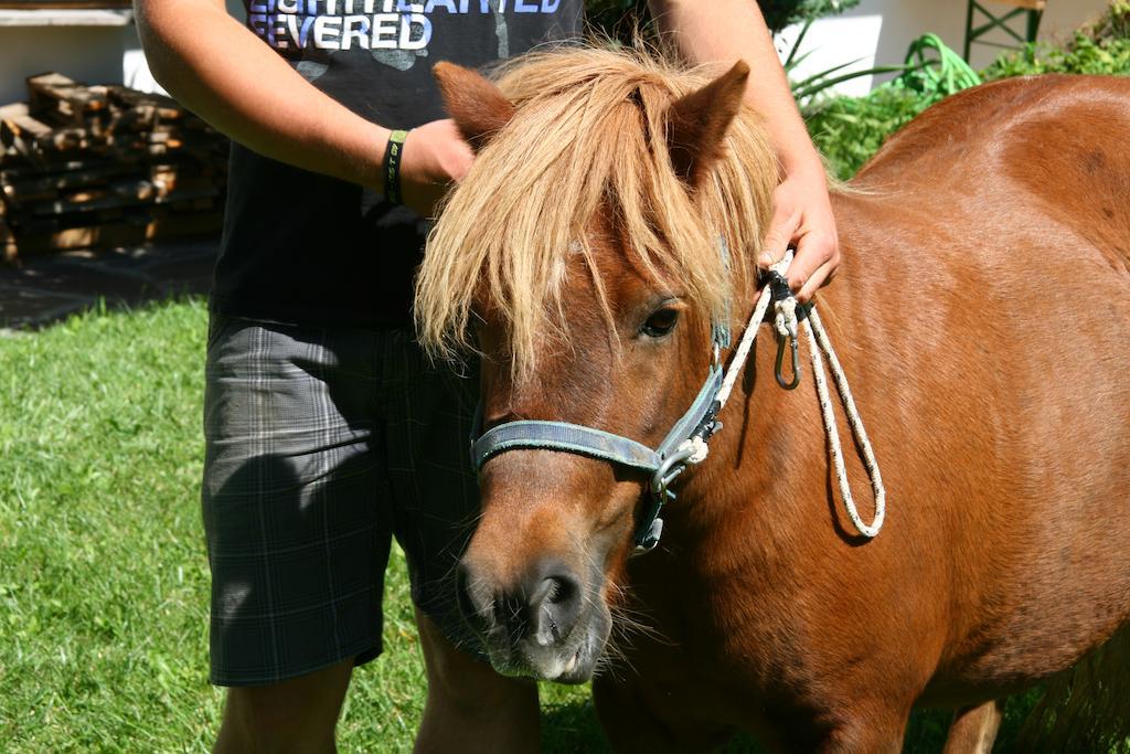 Ferienwohnungen Bulandhof Olang Bagian luar foto